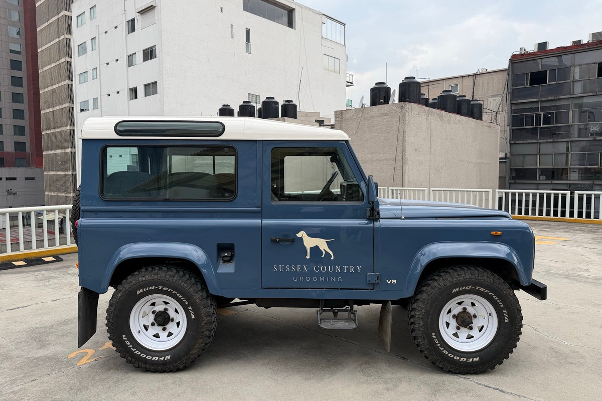 Land Rover Defender 90 V8 1988 — Azul