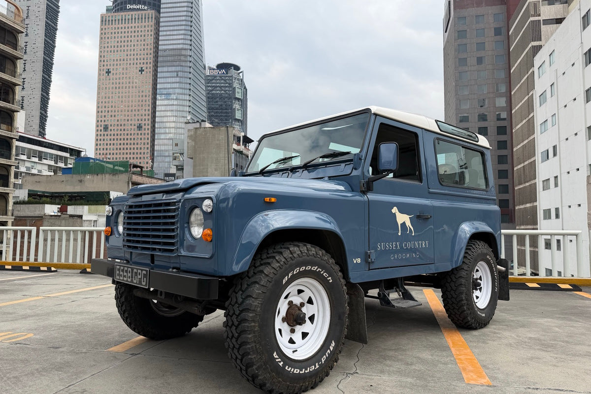 Land Rover Defender 90 V8 1988 — Azul