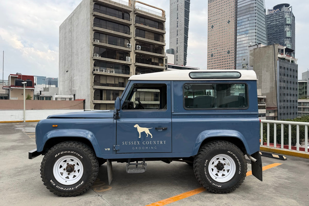 Land Rover Defender 90 V8 1988 Azul — foto 7