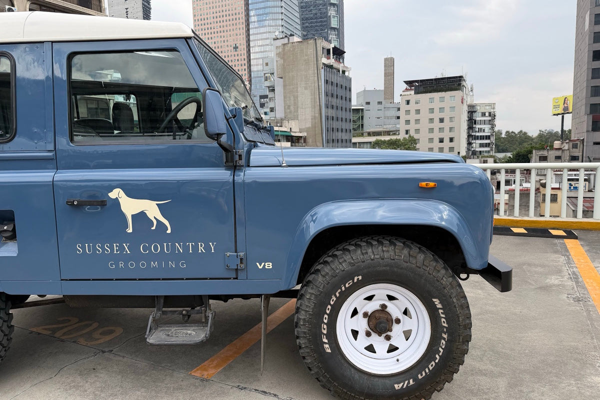 Land Rover Defender 90 V8 1988 Azul — foto 18