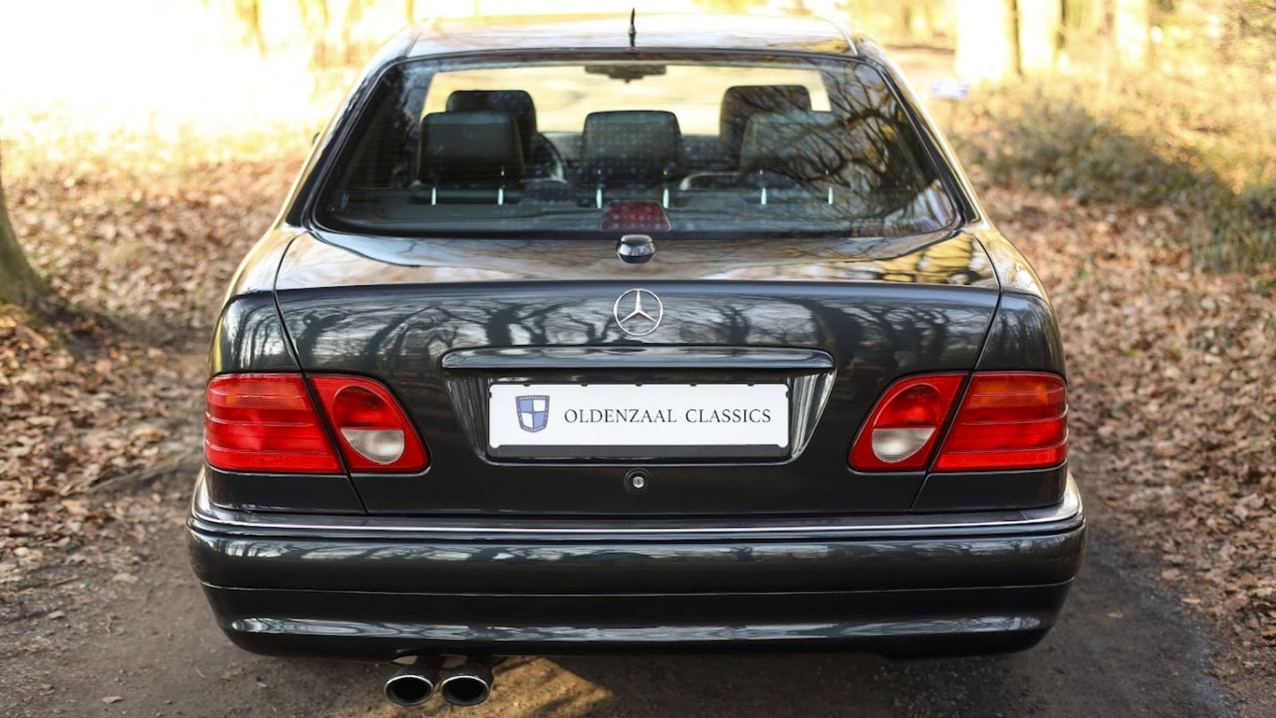 Mercedes-Benz E50 AMG 1996