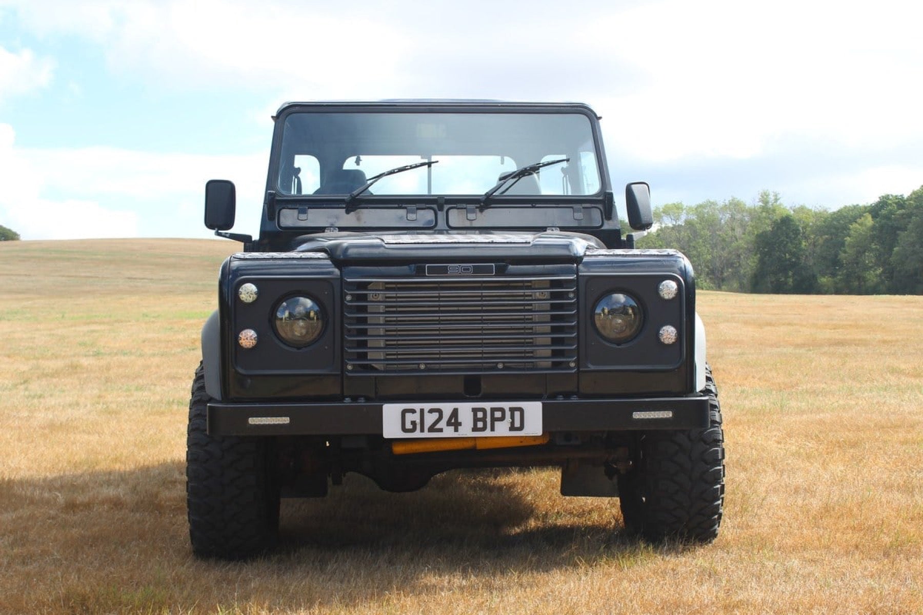 Land Rover Defender 90 300 Tdi Pick Up 1989 negro - foto 3